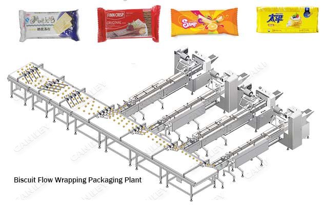 Automatic Biscuit Horizontal Flow Packaging Plant
