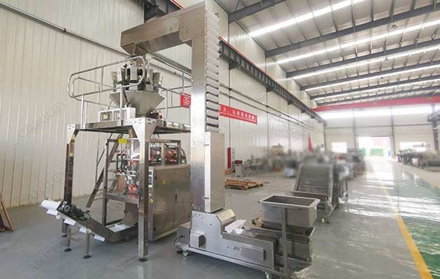 automatic french fries packing machine price